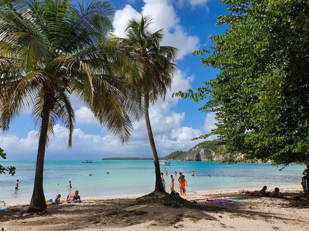 Blue Paradise Le Gosier  Bagian luar foto