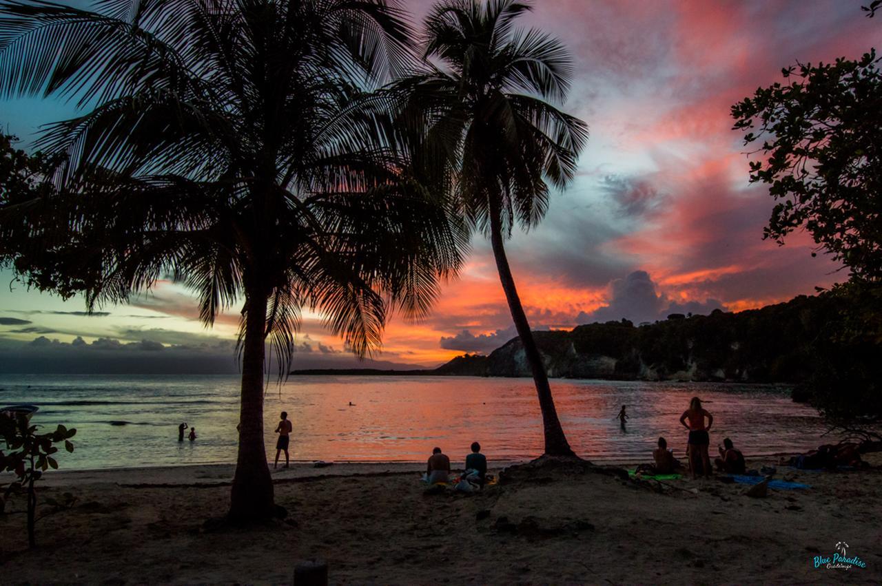 Blue Paradise Le Gosier  Bagian luar foto