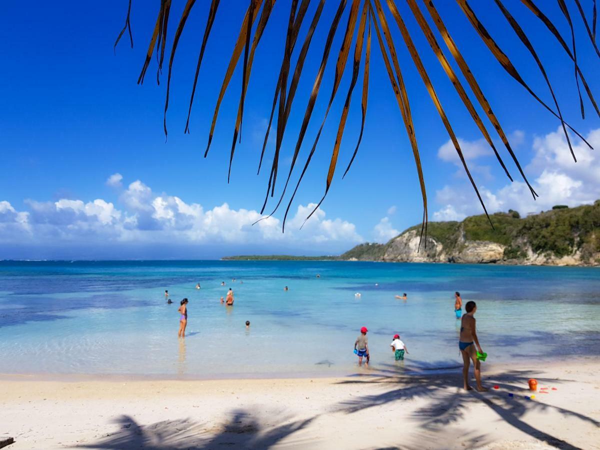 Blue Paradise Le Gosier  Bagian luar foto