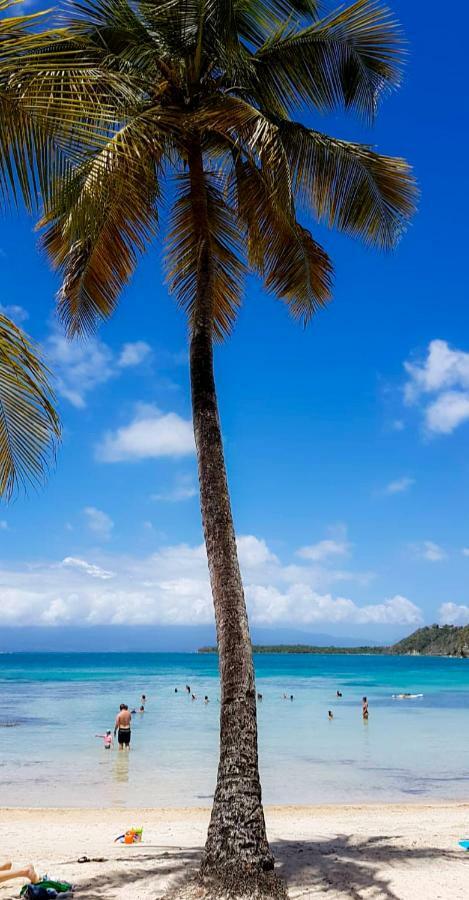 Blue Paradise Le Gosier  Bagian luar foto
