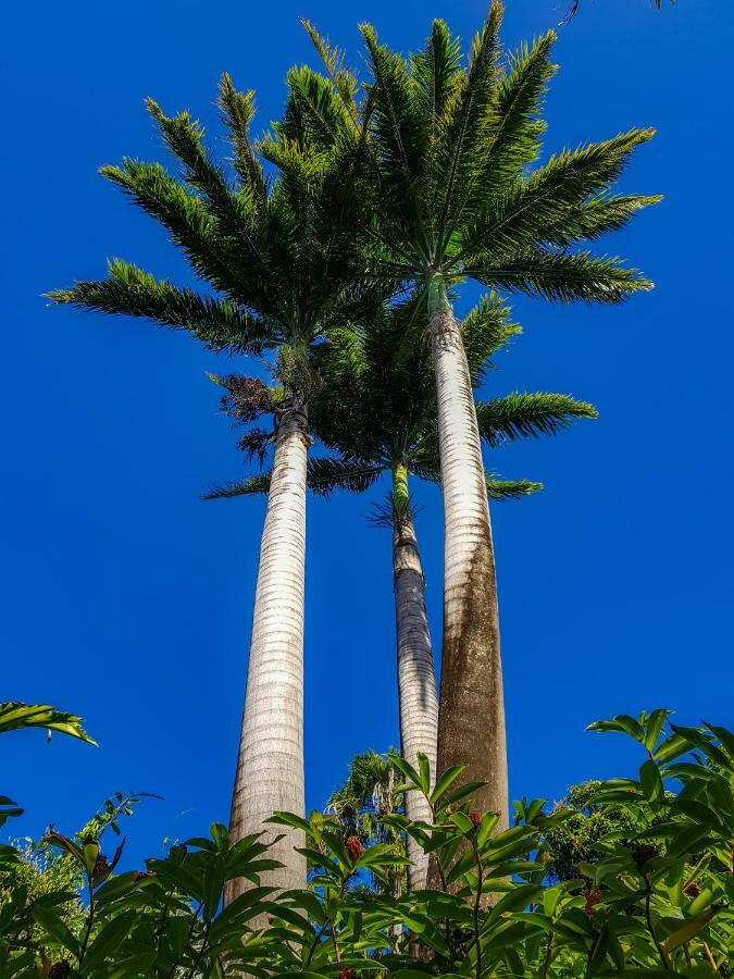 Blue Paradise Le Gosier  Bagian luar foto
