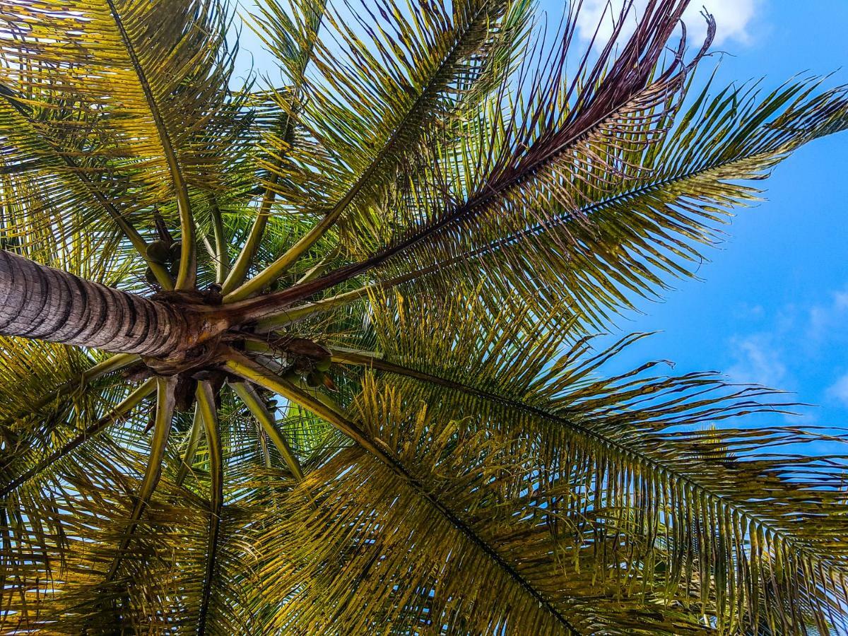 Blue Paradise Le Gosier  Bagian luar foto