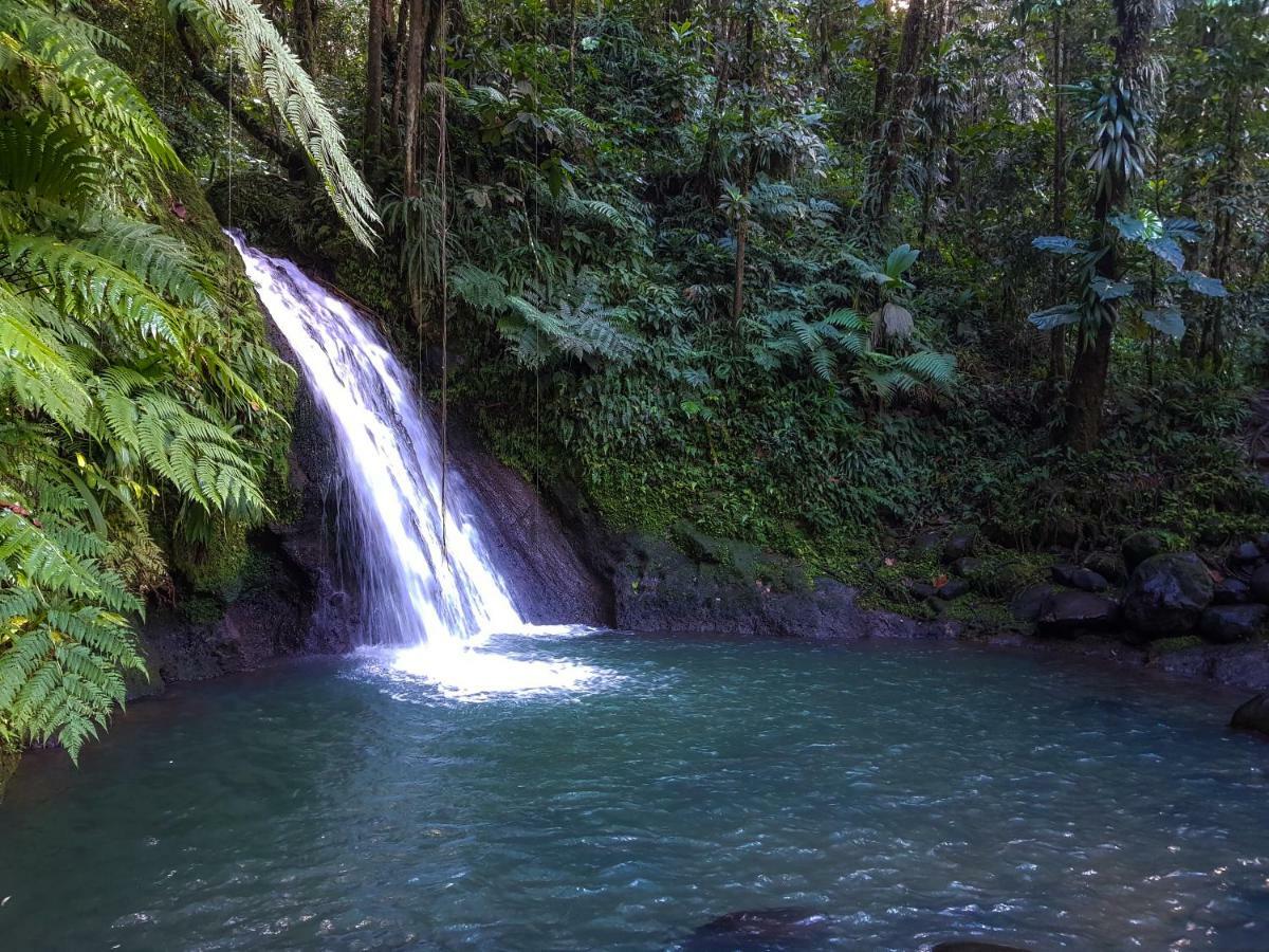Blue Paradise Le Gosier  Bagian luar foto
